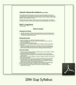 10th Gup Syllabus