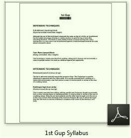 1st Gup Syllabus