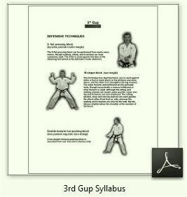 3rd gup  Syllabus