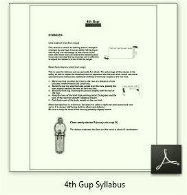 4th Gup Syllabus