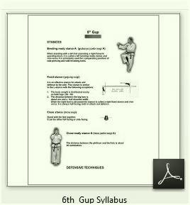 6th Gup Syllabus