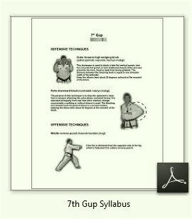 7th Gup Syllabus