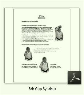 8th Gup Syllabus