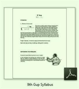 9th Gup Syllabus